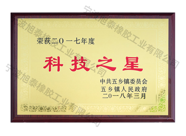 R05科技之星